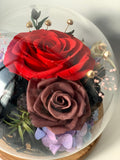 Rose Blowball - Red (with gift box) - Flowers - Preserved Flowers & Fresh Flower Florist Gift Store