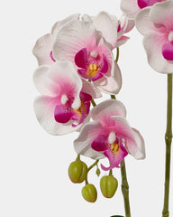 Silk Phalaenopsis in Gold Pot - Gifting plant - pink - Preserved Flowers & Fresh Flower Florist Gift Store