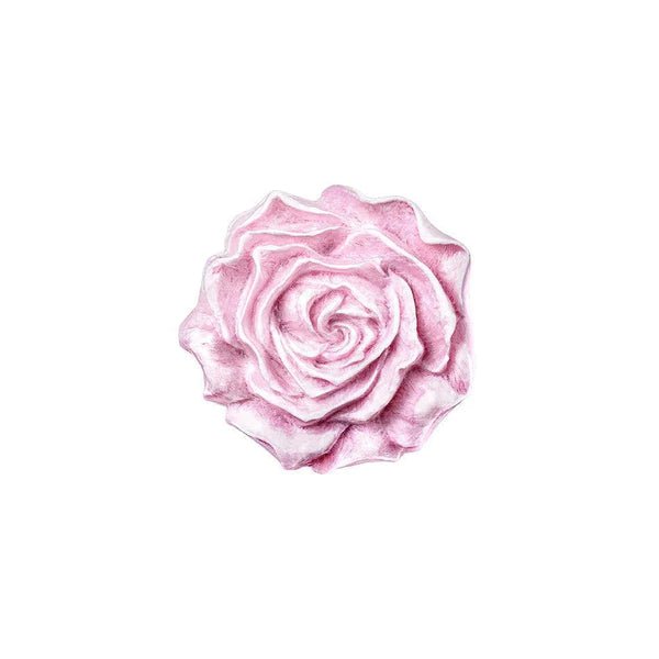 Single Ritual Kit - Nest Bloom - Bird Nest - Rose Almond - Preserved Flowers & Fresh Flower Florist Gift Store