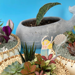 Succulent Arrangement -Umino Shita - Gifting plant - Preserved Flowers & Fresh Flower Florist Gift Store