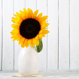 Sunflower Bunch - Flower - Vase - Preserved Flowers & Fresh Flower Florist Gift Store