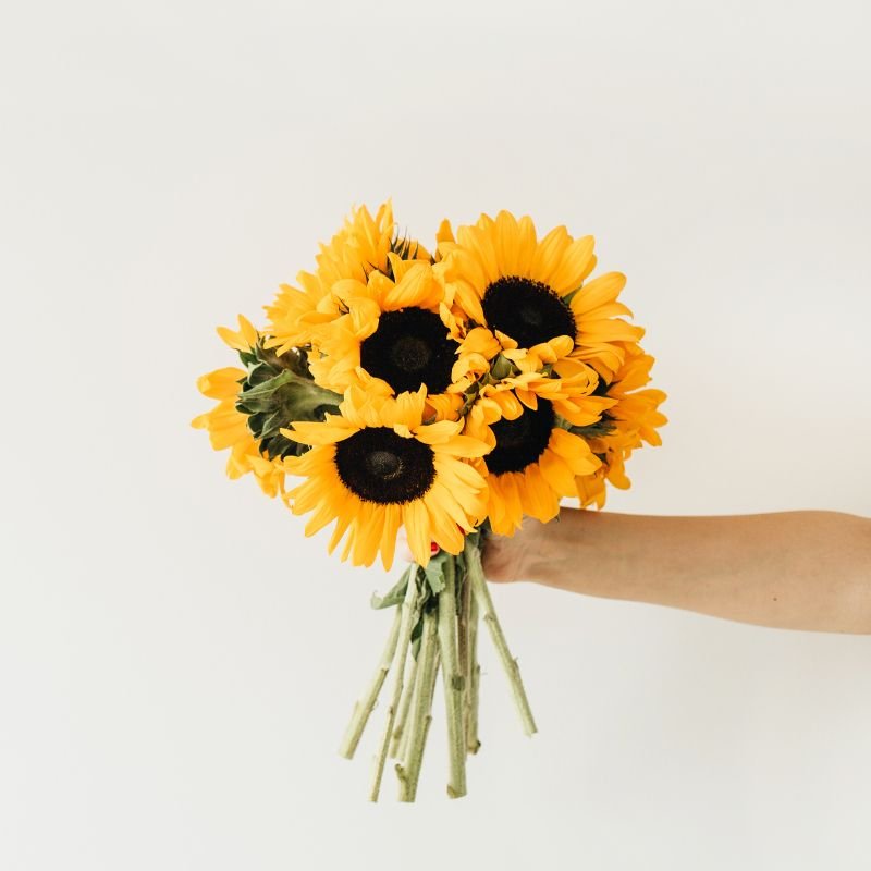 Sunflower Bunch - Flower - Vase - Preserved Flowers & Fresh Flower Florist Gift Store