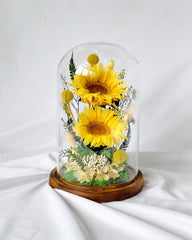 Sunflower Dome - Duo Dunny - Large Dome with box - Flower - Preserved Flowers & Fresh Flower Florist Gift Store