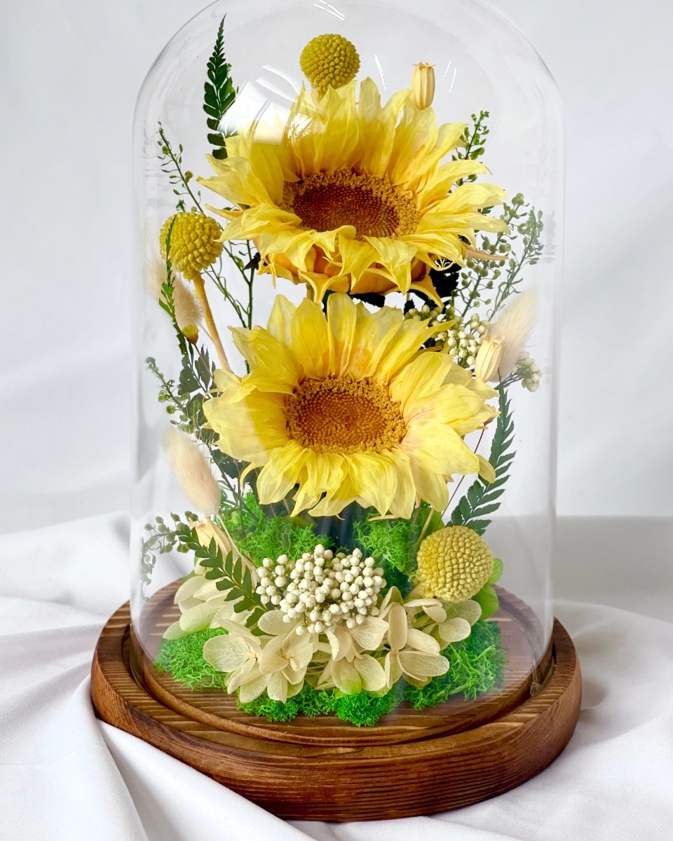 Sunflower Dome - Duo Dunny - Large Dome with box - Flower - Preserved Flowers & Fresh Flower Florist Gift Store