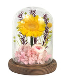 Sunflower Dome - Rosie Pink - Flowers - Preserved Flowers & Fresh Flower Florist Gift Store