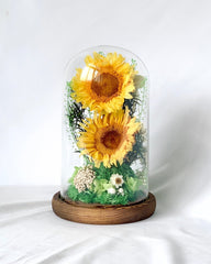 Sunflower Dome - Sunni Duet - Large Dome with box - Flower - Preserved Flowers & Fresh Flower Florist Gift Store