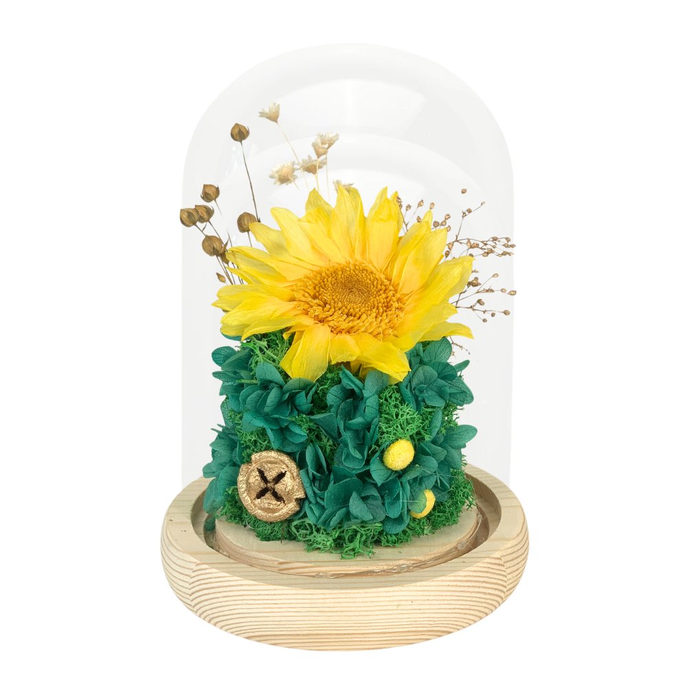 Sunflower Dome - Sunni Green - Flowers - Preserved Flowers & Fresh Flower Florist Gift Store