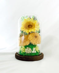 Sunflower Dome - Sunni Trio - Large Dome with box - Flower - Preserved Flowers & Fresh Flower Florist Gift Store