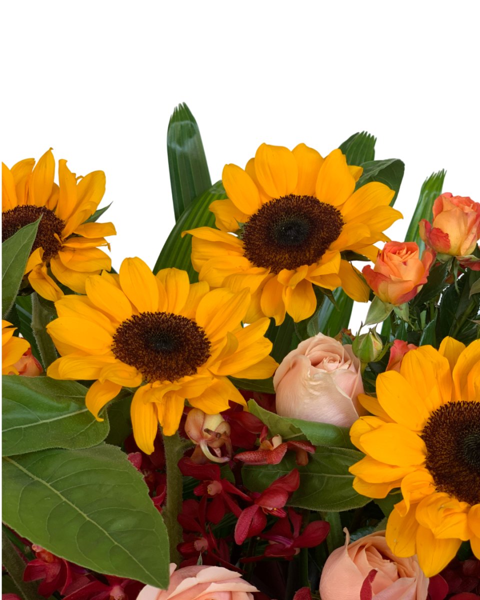 Sunflower Sway - Flower - Preserved Flowers & Fresh Flower Florist Gift Store