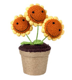 Sunny Crochet Bucket - Flower - Medium - Preserved Flowers & Fresh Flower Florist Gift Store