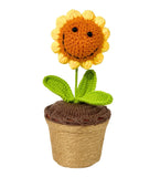 Sunny Crochet Bucket - Flower - Small - Preserved Flowers & Fresh Flower Florist Gift Store