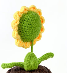 Sunny Crochet Bucket - Flower - Small - Preserved Flowers & Fresh Flower Florist Gift Store