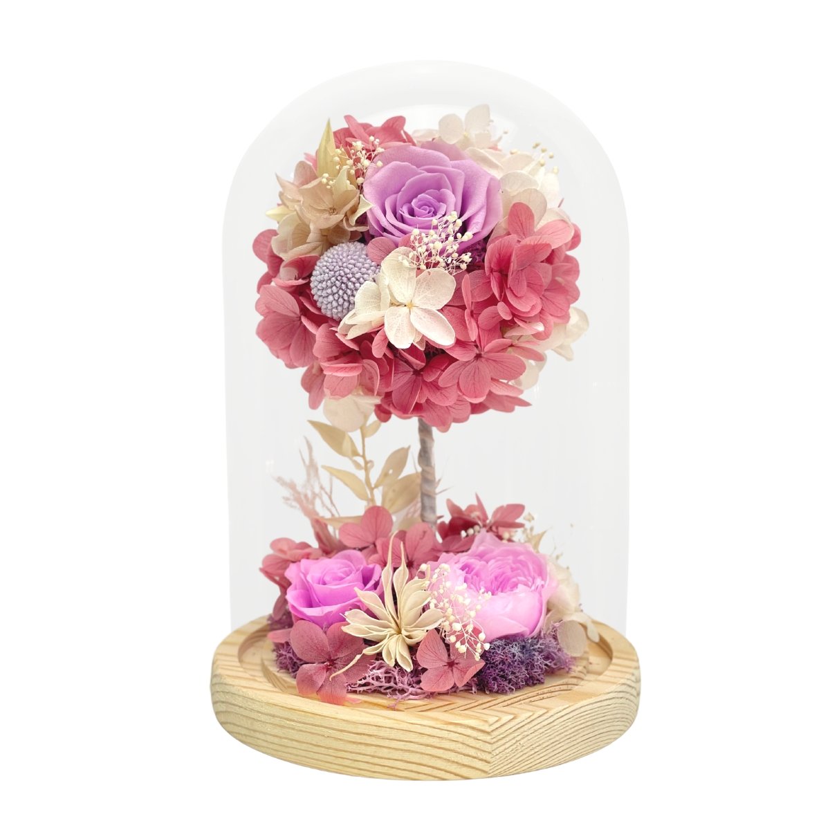Wish Tree - Paddle Pop - Flower - Preserved Flowers & Fresh Flower Florist Gift Store