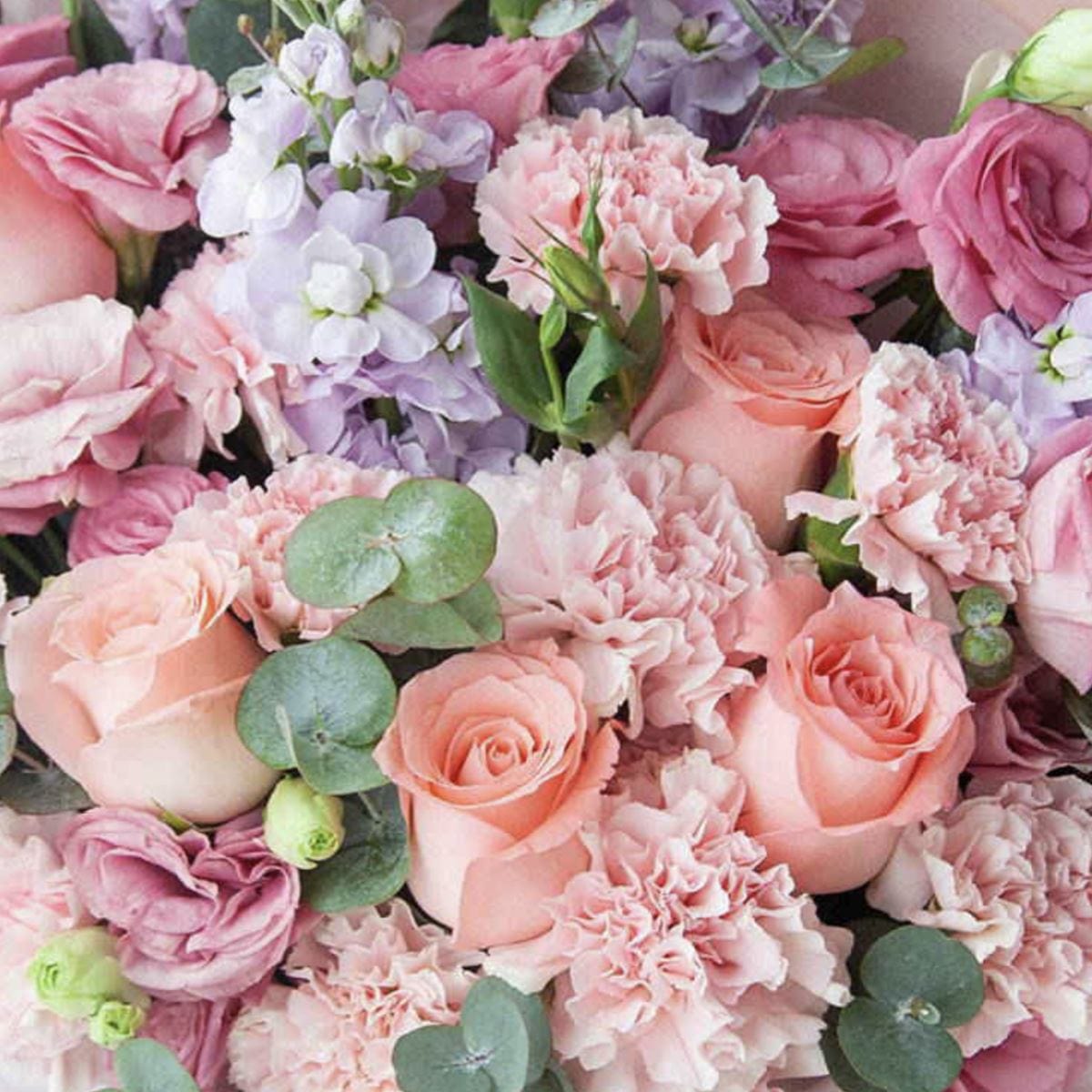 Buy Enchanting Blooms  Flower - Online Flower & Gift Delivery – Ana Hana  Flower