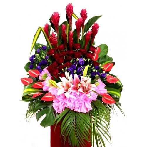 Vivacious - Congratulatory Flower Stand - Flower - Preserved Flowers & Fresh Flower Florist Gift Store